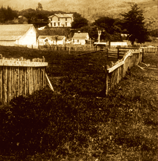Illustration for article titled 108 Years Since the Great Quake